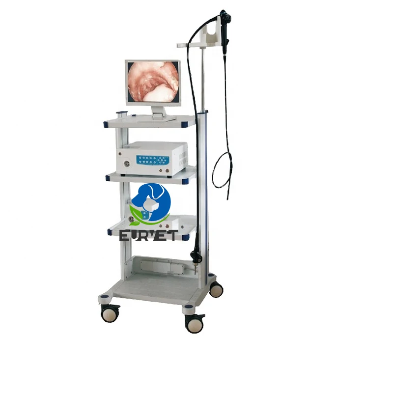 Flexible Endoscope Favorable Veterinary Medical Equipment for Dog for Vet Clinics
