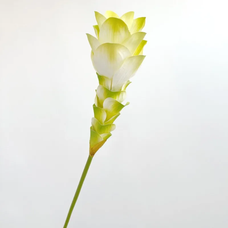 Simulierte Ingwerblume mit Farbverlauf, langer Zweig, künstliche Seidenblume für DIY-Party, Hochzeit, Raumdekoration, Hotel, ländliche Dekoration – Detail 6