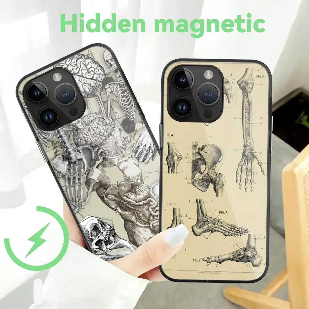 

The Art of Anatomy Phone Case For iPhone 15 Pro Max 14 13 12 11 Mini Plus Hidden magnetic Black Glass Cases