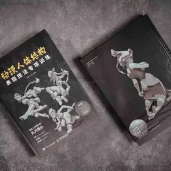 Animation Human Body Structure Performance Skills Special Training Structure Principle Painting Tutorial Skills Teaching Books