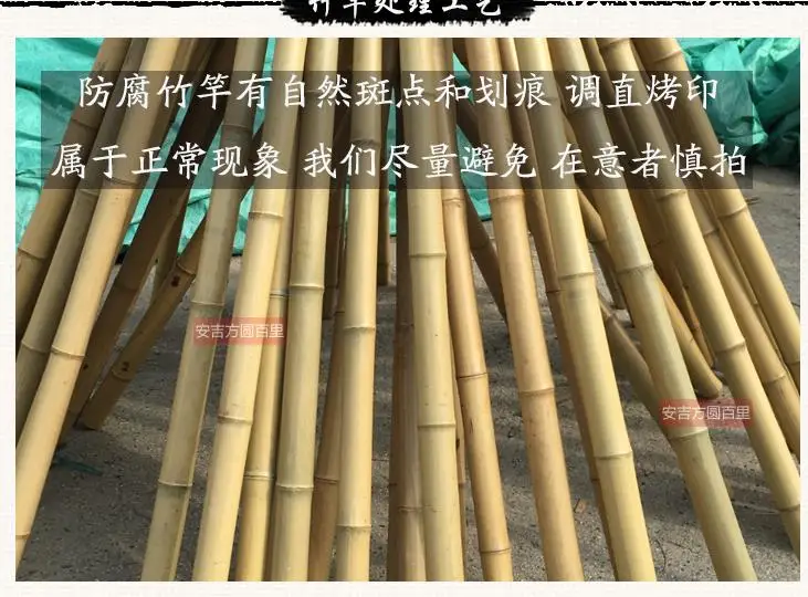 Bamboo Poles For Dragon Dance