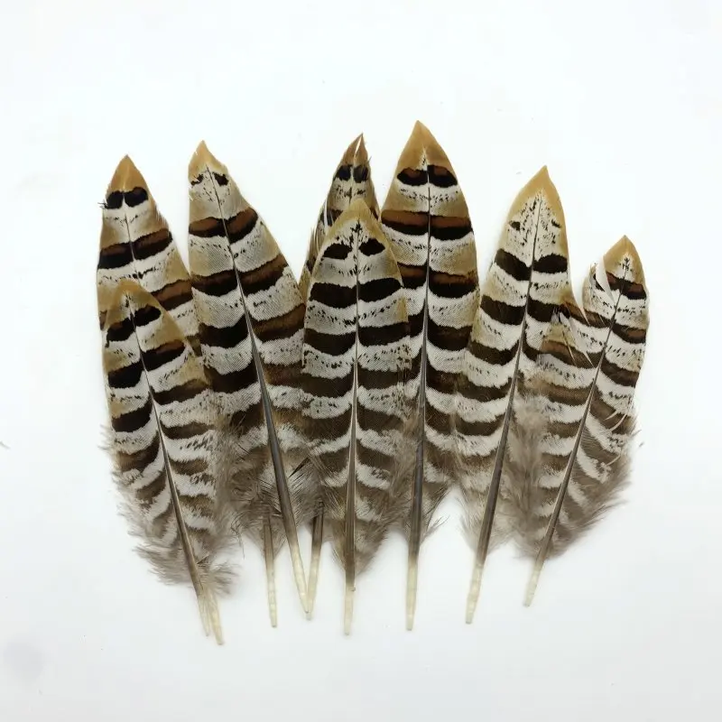 

Pheasant Rare Feather 50pcs / lot 10-15 cm 4-6 inch Party Hats Dancing Headwear DIY Decoration Wholesale