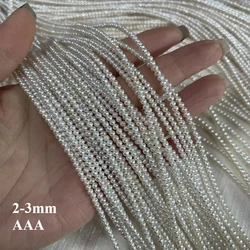 2-3mm AAA Natural Freshwater Pearls Threaded Oval Shape Gift Spacer Beads for Jewelry Making DIY Necklace Bracelet Accessories