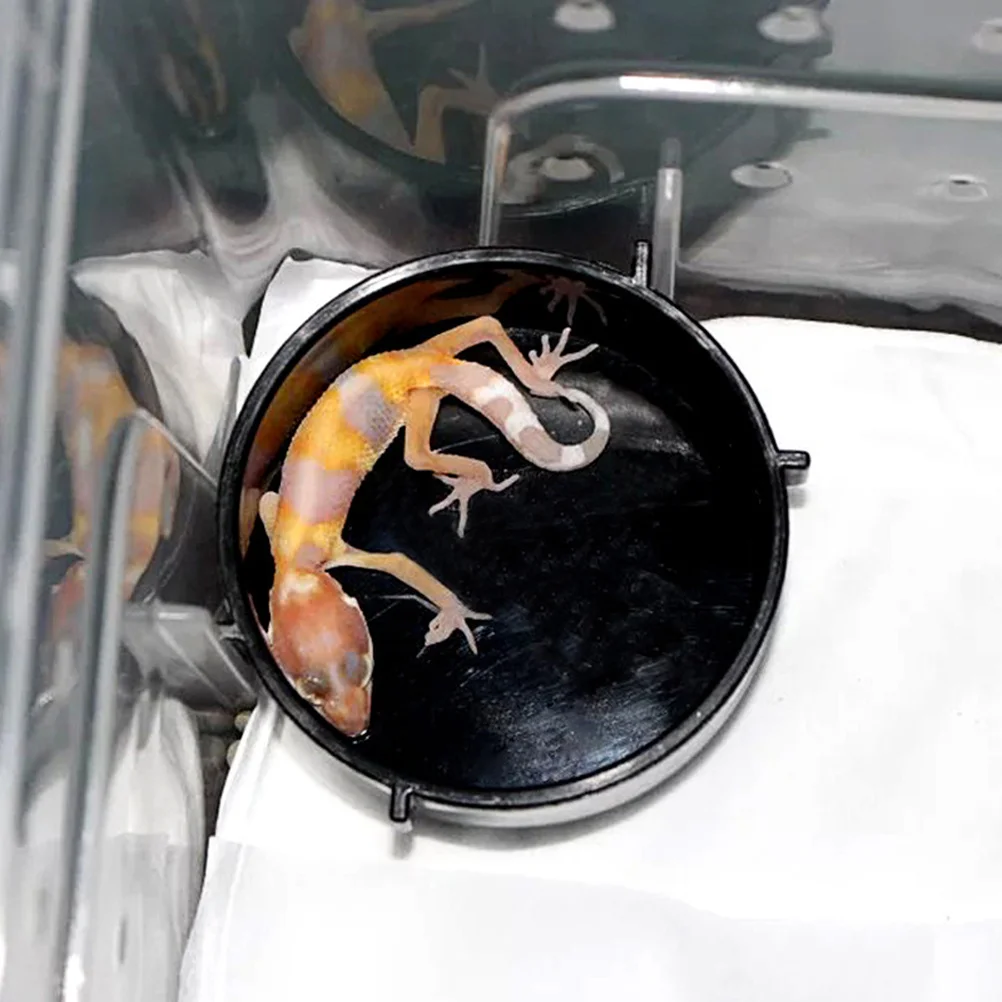 

10Pcs Reptile Food Water Feeder Plastic Hanging Bowl for Small Tortoise Lizard Snake Spider Easy to Clean Reptile Feeder