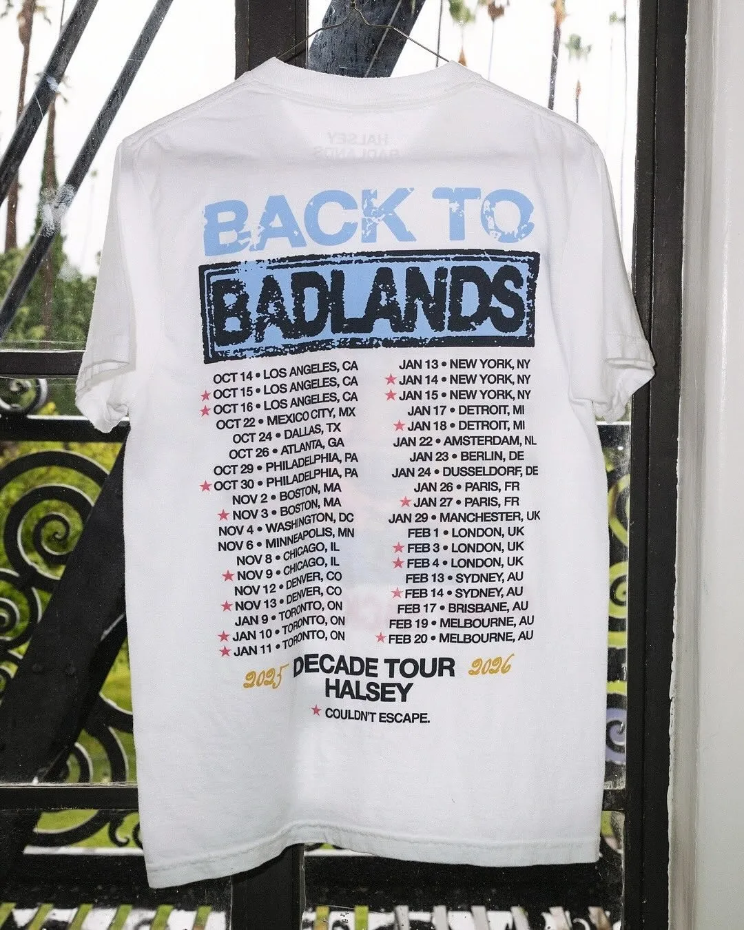 Halsey العودة إلى Badlands Merch جولة عشرة سنوات 2025-2026 مريحة وعالية الجودة قصيرة الأكمام القطن الخالص تي شيرت مطبوع #3