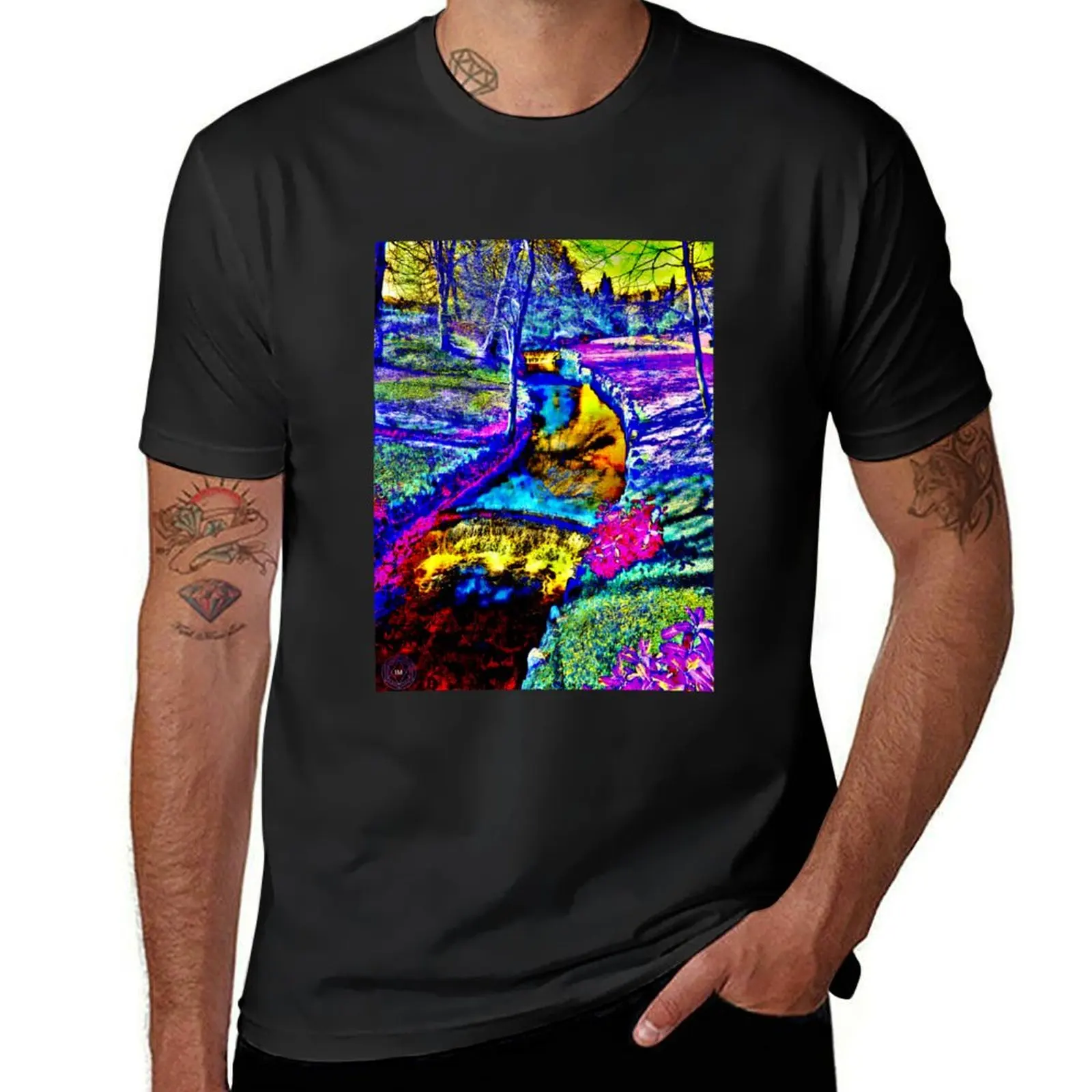 

Inverted riverside dreamscape T-Shirt aesthetic clothes customs design your own kawaii clothes T-shirts for men cotton