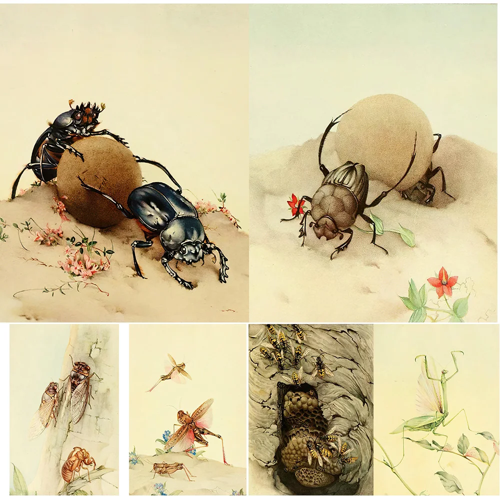 Memoirs Of Entomology,Vintage Wall Art,Canvas Painting,The Book Of Insects,Abstract Art,Poster And Print,Home Decor,Unframed