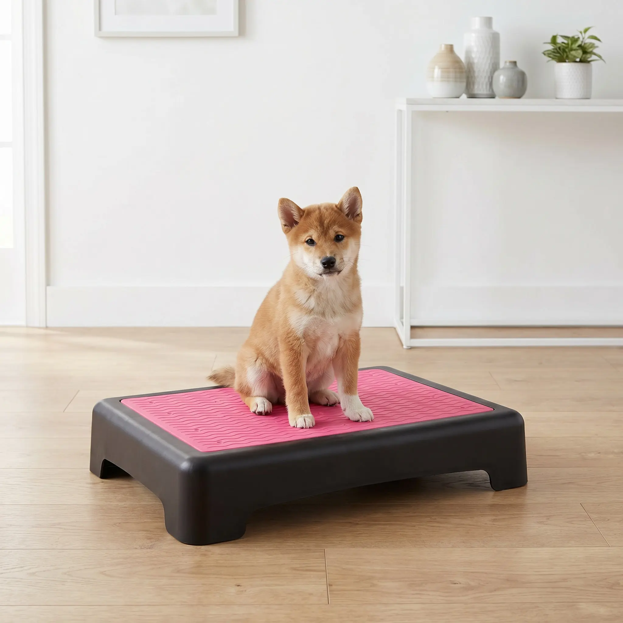 Dog Training Platform Non-Slip Portable Stackable Place Board Pet Agility Equipment Puppy Obedience Board Small Dogs Indoor