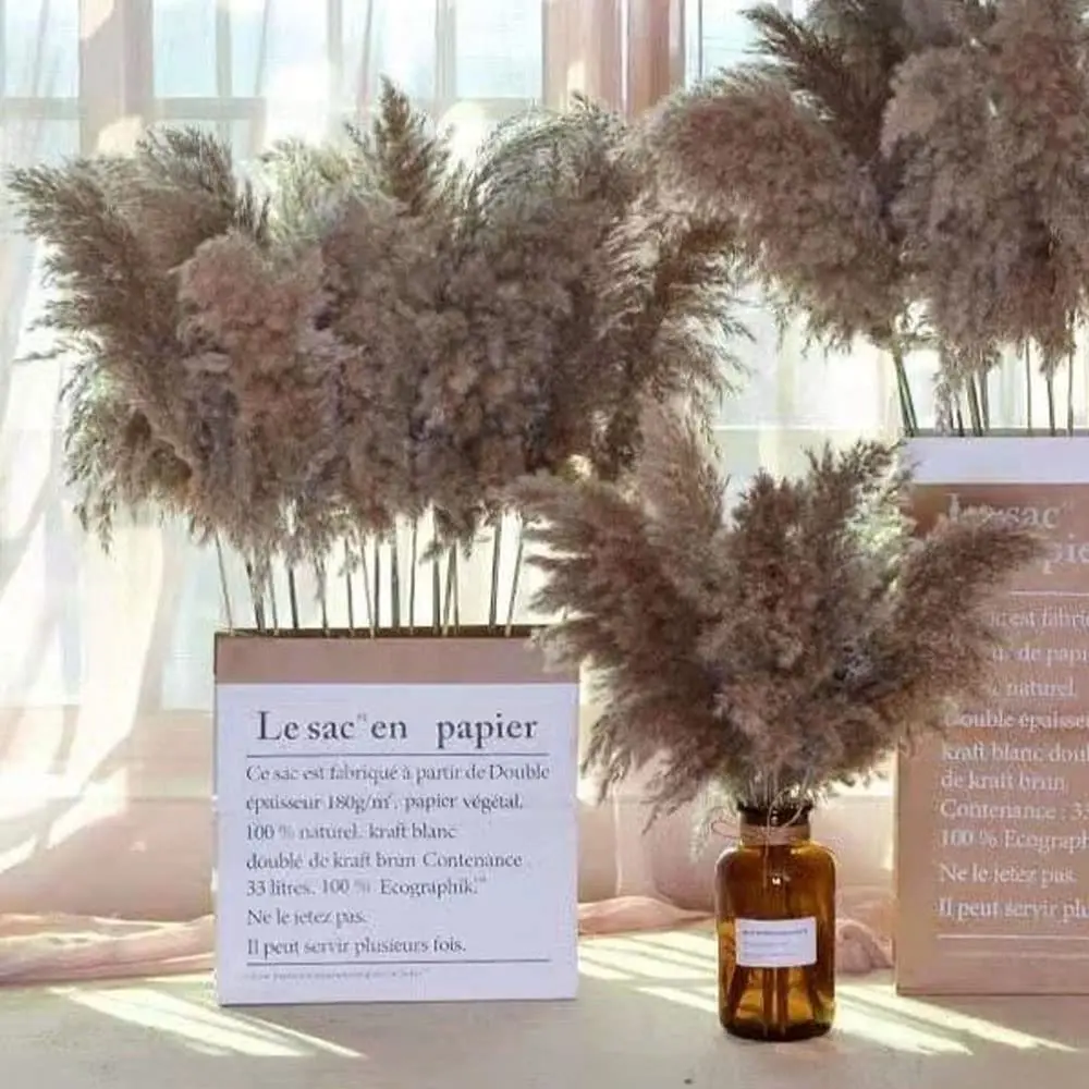 

Natural Fluffy Pompas Grass,Boho Home Dried Pampas Grass Decor for Room Kitchen Farm Wedding Christmas Room Party Decor Plants