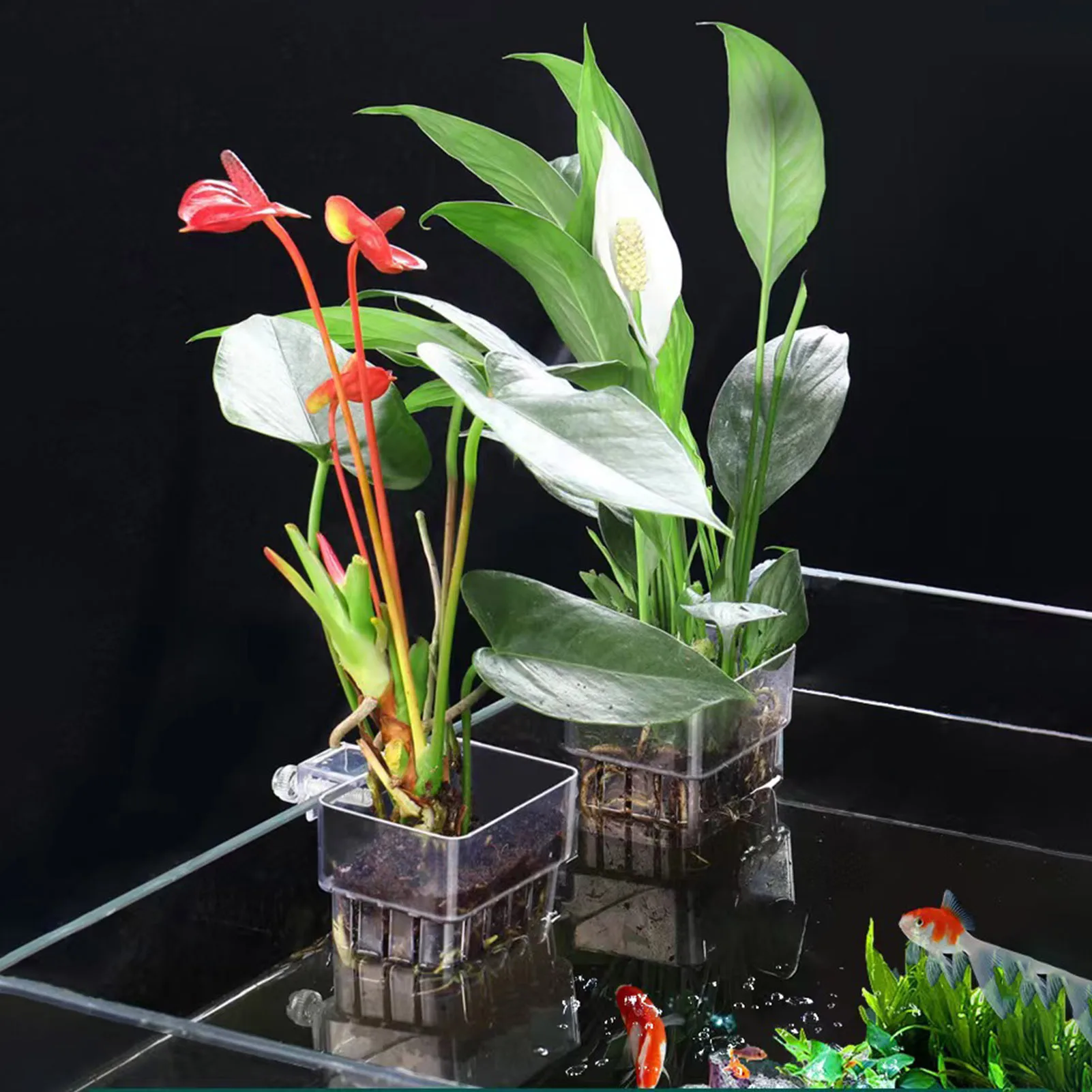 Aquarium Plant Hanging Holder Hollow Design Easy to Absorb Nutrients for Bamboo Lotus Daffodils