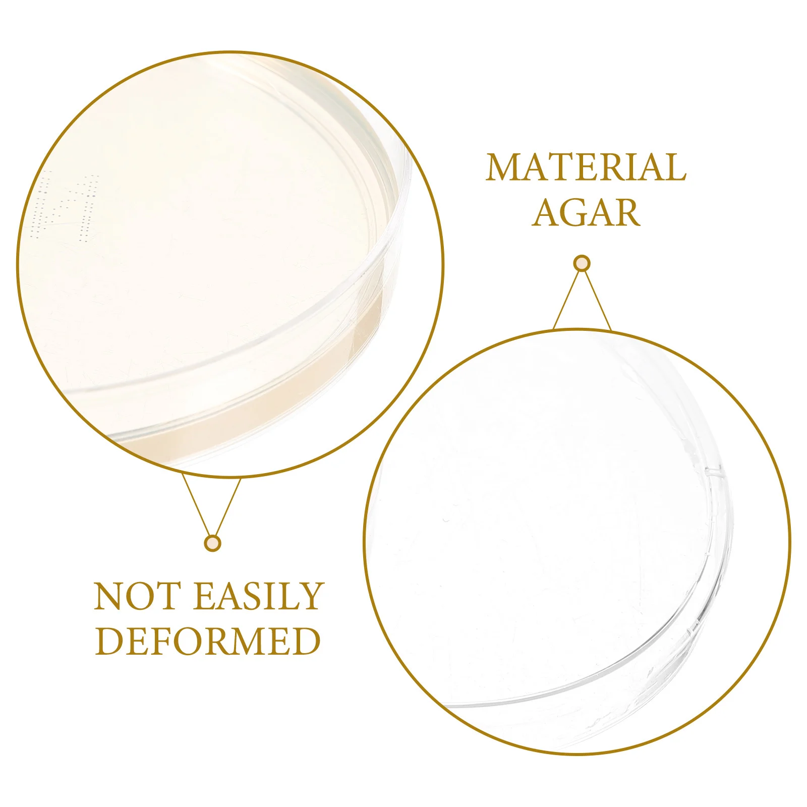 

10Pcs Bacteria Culture Agar Plates Portable Prepoured Petri Dishes for Scientific Research Lab Experiment Supplies