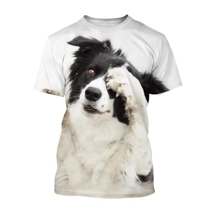 Cute Border Collie 3D Printed T-shirt Fashion Cute Dog Animal Graphics Round Neck T Shirt Casual Streetwear Men Short Sleeves