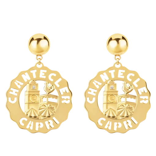 Charming 2024 Earrings: Perfect for Special Occasions & Everyday Wear