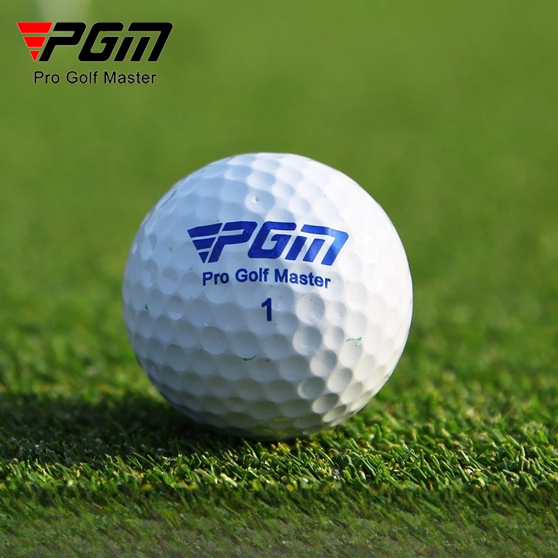 PGM 30pcs Golf  Balls Two Piece Practice Ball Random Number Q002