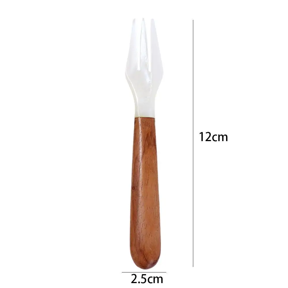 Creative Home Coffee Scoop Natural Tableware Fork Shell Spoon Ice Cream Dessert Spoon Teaspoon
