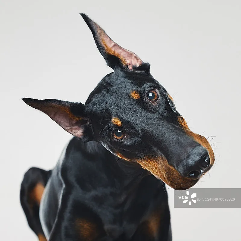 

Полетный контроллер Flywoo GOKU F405 ERVT 1S 5A 5-в-1 AIO, со встроенным видеопередатчиком ELRS 400 мВт для FPV-дронов с ультранизкой задержкой для аэробных гонок