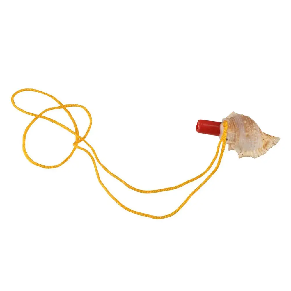 

Decoration Crafts Accessories Shipping Souvenirs Shell Children Natural Horn Survival Tool Gift Conch Whistle