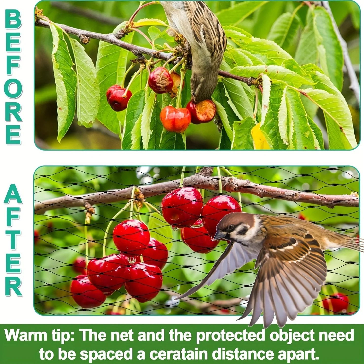 Rete Anti-Uccelli Nera Resiste - Garden Netting Cover recensione e prezzo