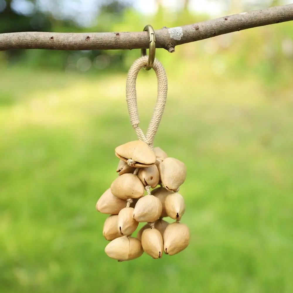 Handmade Natural Fruit Shell Bag Keychain Bag Accessories Multifunctional Usage Nut Shell Wind Chime Personality