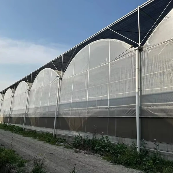 

Customized greenhouseLarge-Scale Plastic Film Greenhouse for Vegetables Commercial Farming Greenhouse