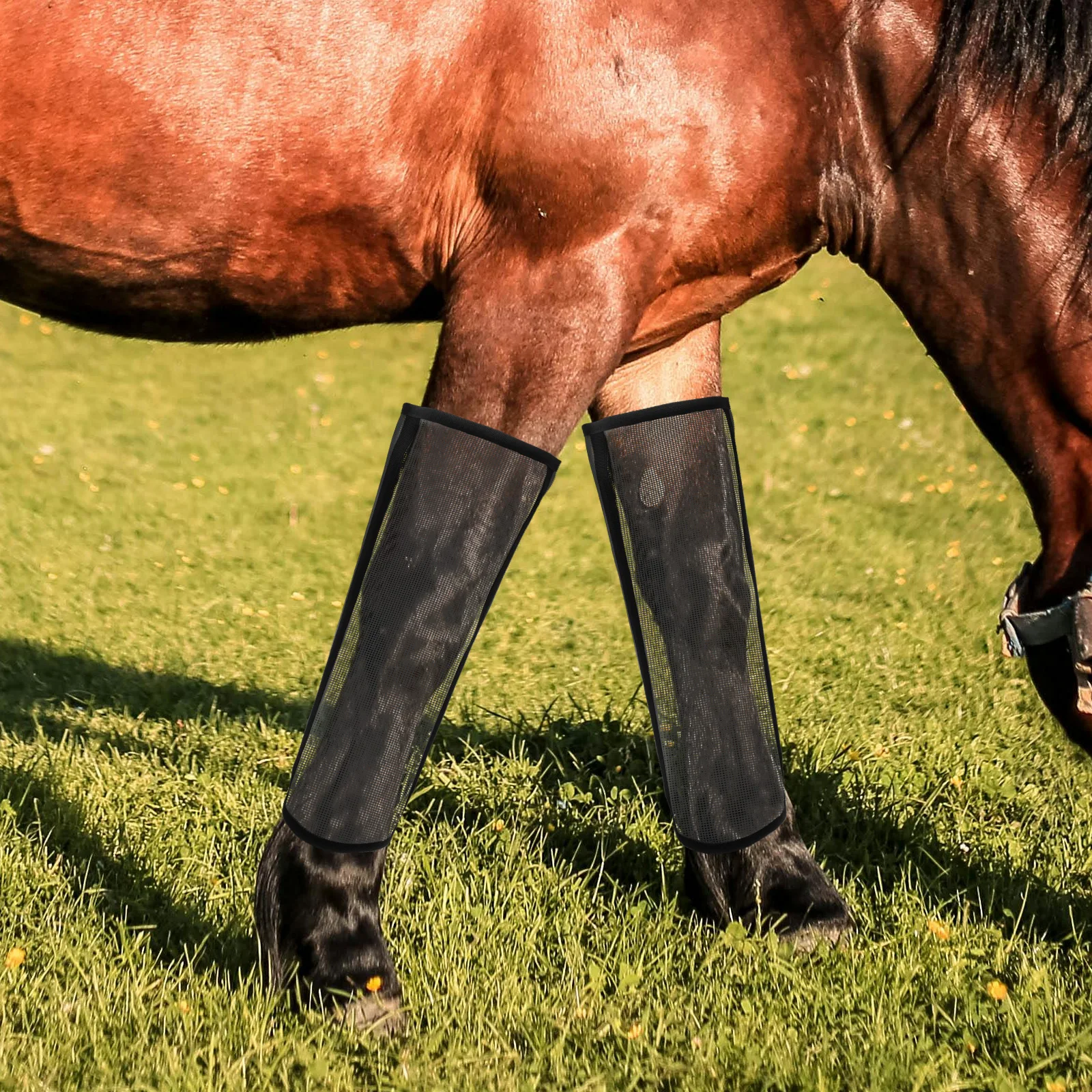 Рисунок 3 - защитные ботинки для лошадей