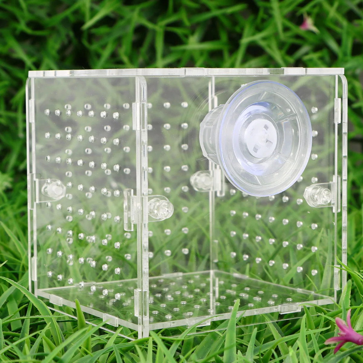 

Acrylic Breeding Tank Transparent Aquarium Isolation Box For Pregnant Sick Fish With Suction Cup 10X10X10Cm 2Mm Hole Fish