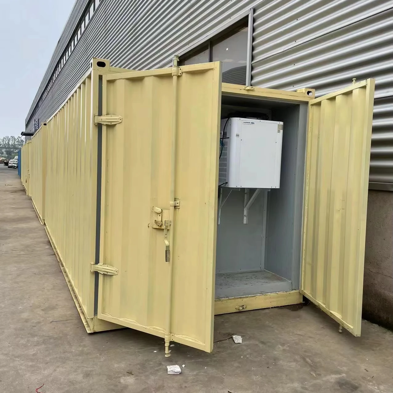 Container 20ft 40ft Freezer Container Fish Meat Vegetable Freezer