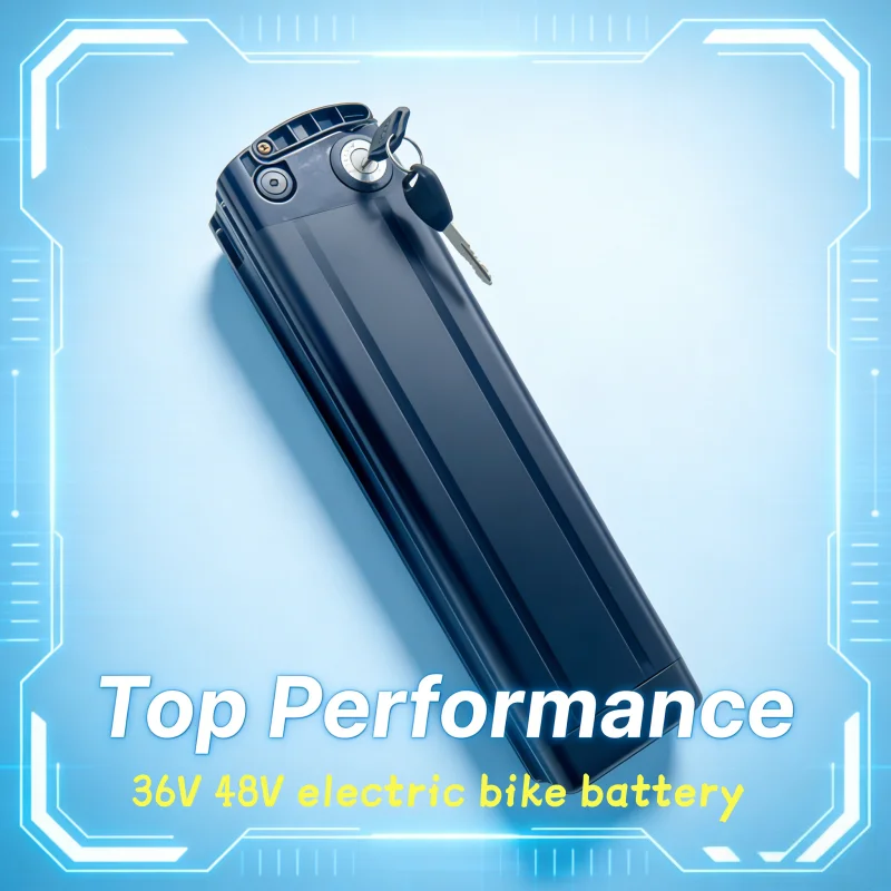 High Performance 48V 36V Silverfish Battery Pack for Scooter Skateboard,  15AH Lithium Cell with Charger, Replacement Parts
