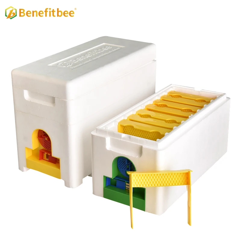 Double Foam Polystyrene Mating Nuc Box, Queen Rearing Beehive, Complete Beekeeping Starter Kit for Beekeepers