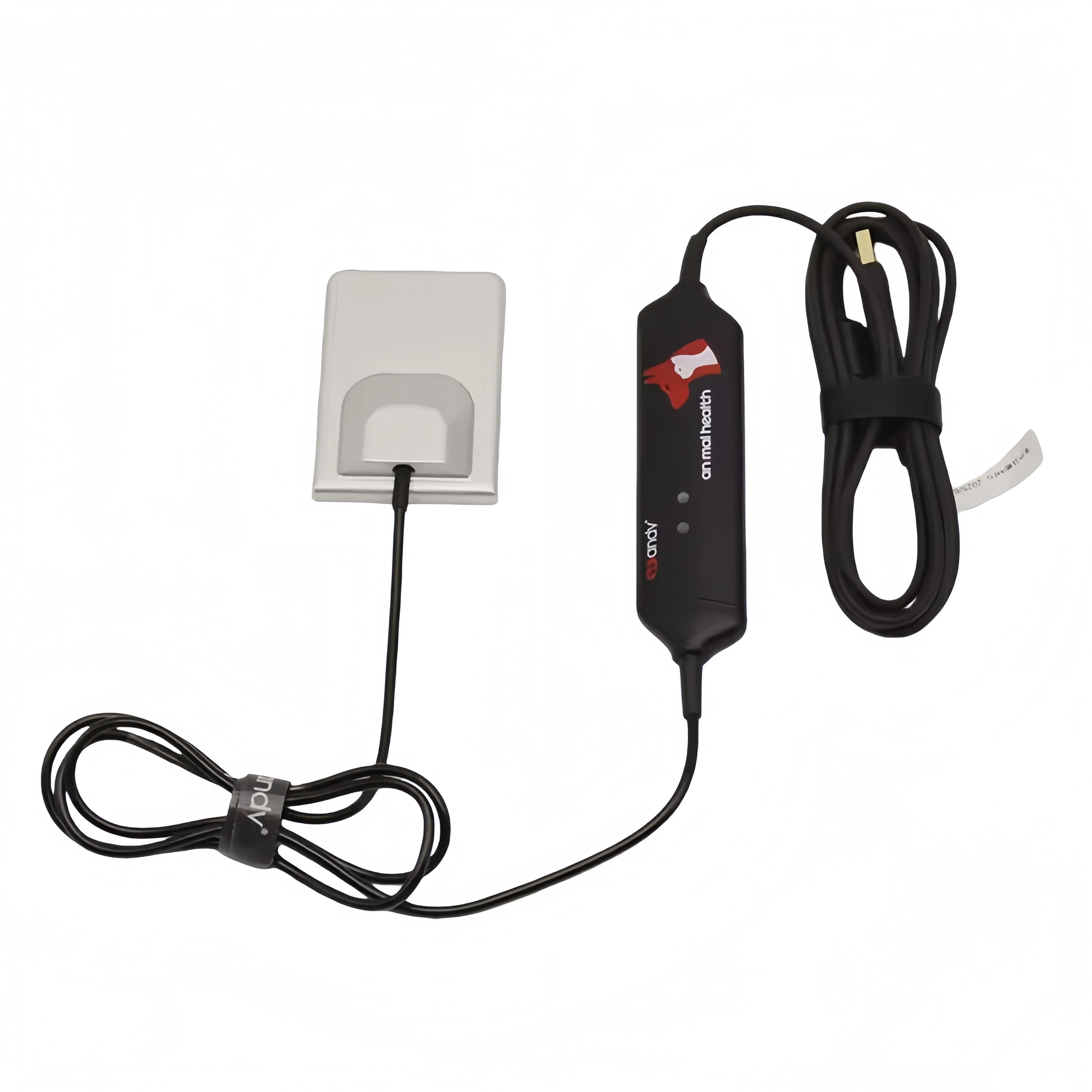 Vet Handy Adjustable High Resolution Dental X Ray Sensor Plate 4# 6# Veterinary Equipment for Dogs and Cats