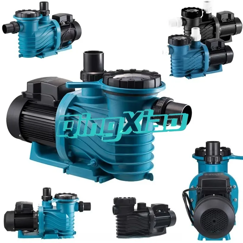 Silent Pool Circulation Pump High Efficiency Centrifugal Self Priming Device For Swimming Pool Hot Spring Sand Tank System
