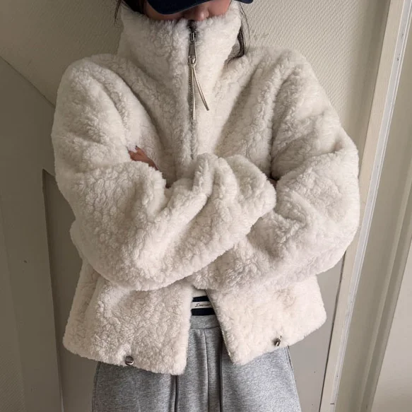 

Spring 2026 Women's Short Stand Collar Woolen Lamb Fur Jacket Casual Style Integrated Leather And Fur Coat Long Sleeve Zipper