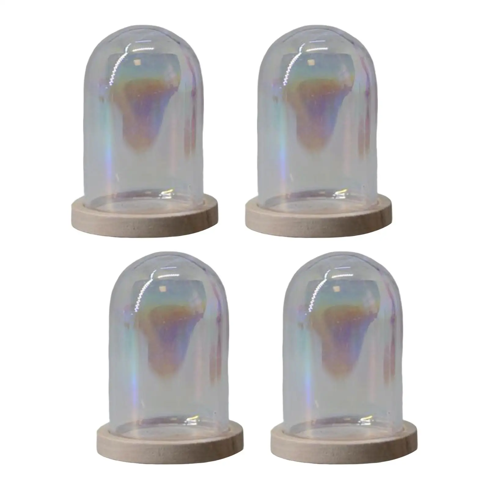 Glass Cloche Dome Micro Landscape Jar Ornament Transparent DIY Flowers Cover