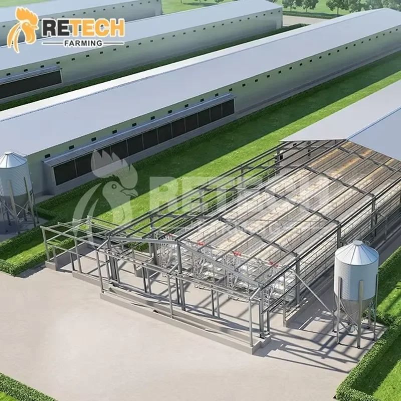 Fully Automated Chicken Farming Equipment Prefab Houses Steel Structure for Broiler Poultry