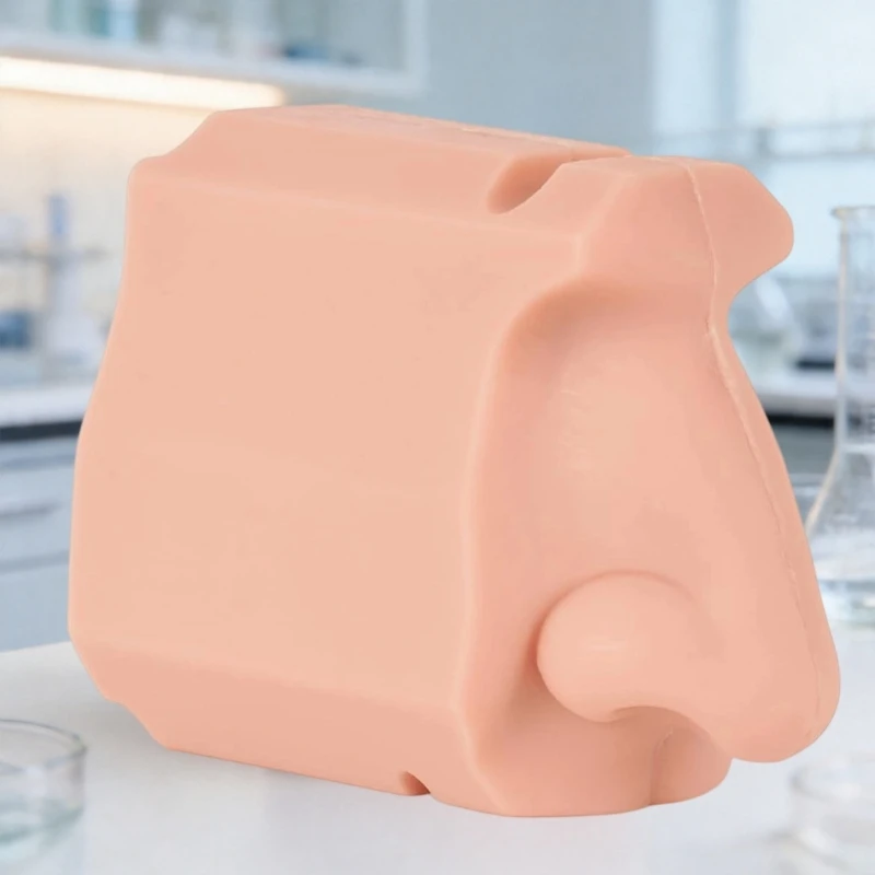  Detailed Nose Structure Training Model For School Training And Learning