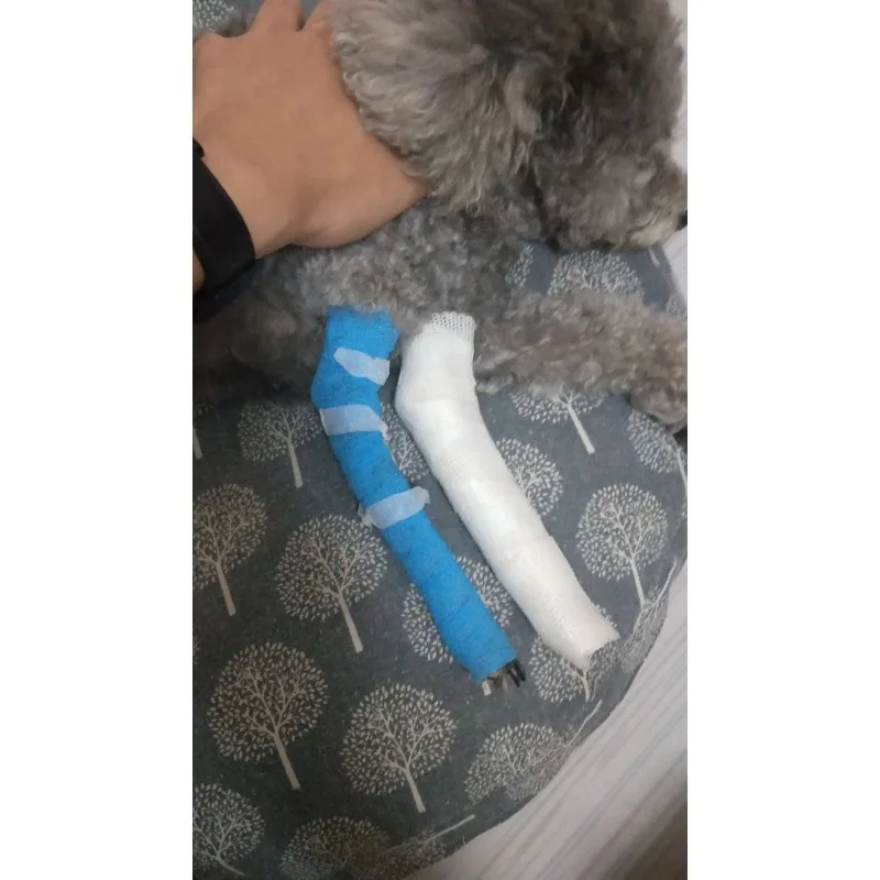 Custom Pet Prosthetic Leg, Dog Cat Hind Forelimb Support, Adjustable Paw Protector for Amputee,Disabled and 15-Day Customization