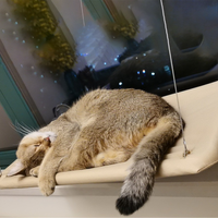 Suction cup cat window hammock wall mounted cat hammock high strength suction cup oxford cloth cat hammock sturdy