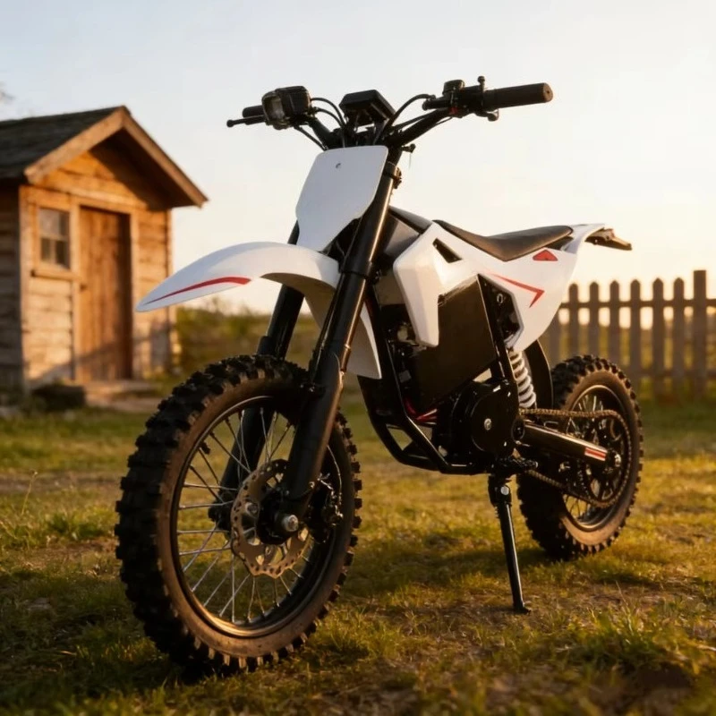 

SXLL Wholesale S3 Off-Road Electric Motorcycle Adult Electric Motorcycle 60V Lithium Battery Made in Fujian