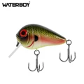 C3