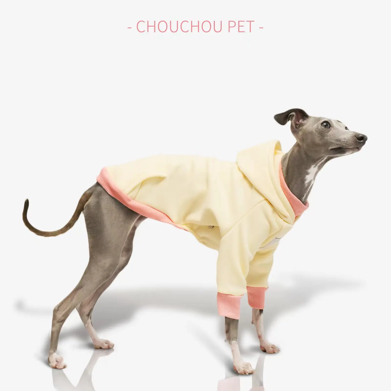 Spring new hooded pet sweatshirt Italian iggy coat Whippet sweatshirt suitable for small and medium-sized dogs