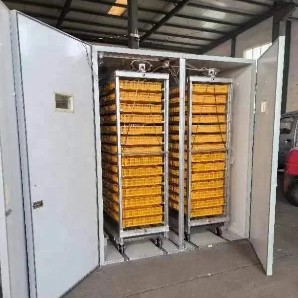 

Egg Incubator / Hot Sale Chicken Egg Incubator /Cheap Price Egg Incubator Machine 10000 Pcs 9856 Eggs