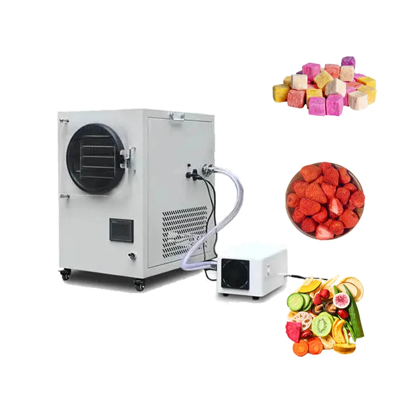 High Quality Automatic Freeze Drying Dryer Machine Lyophilizer Home Use Freeze Dryer