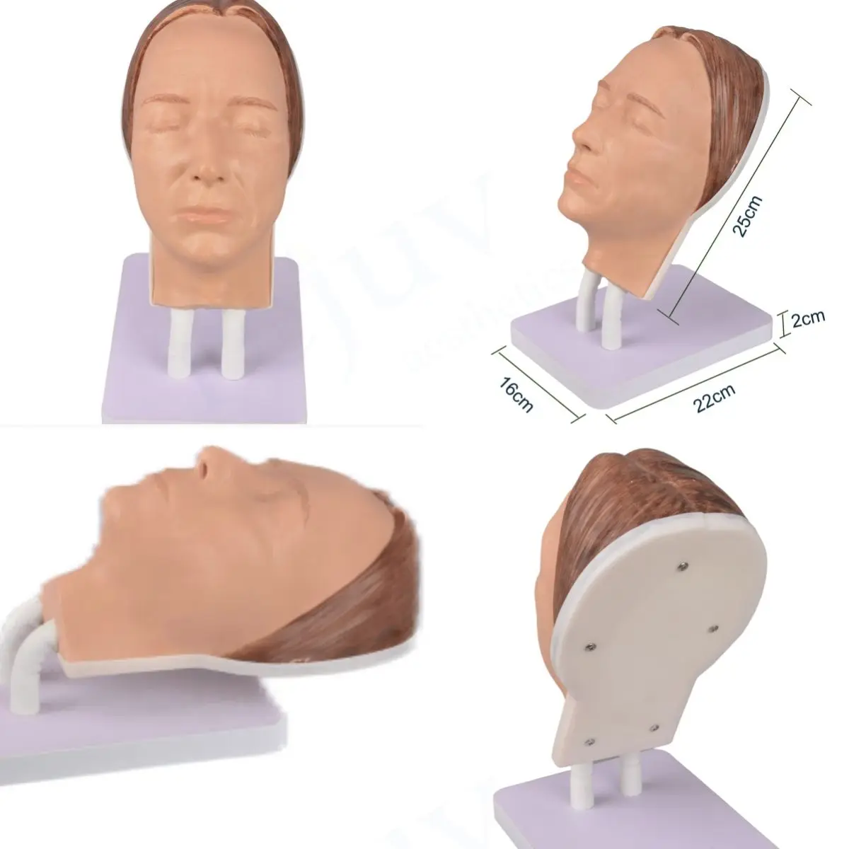 Manichino di trucco femminile realistico del modello di addestramento del viso di pratica dell\'iniezione del Silicone per le iniezioni facciali