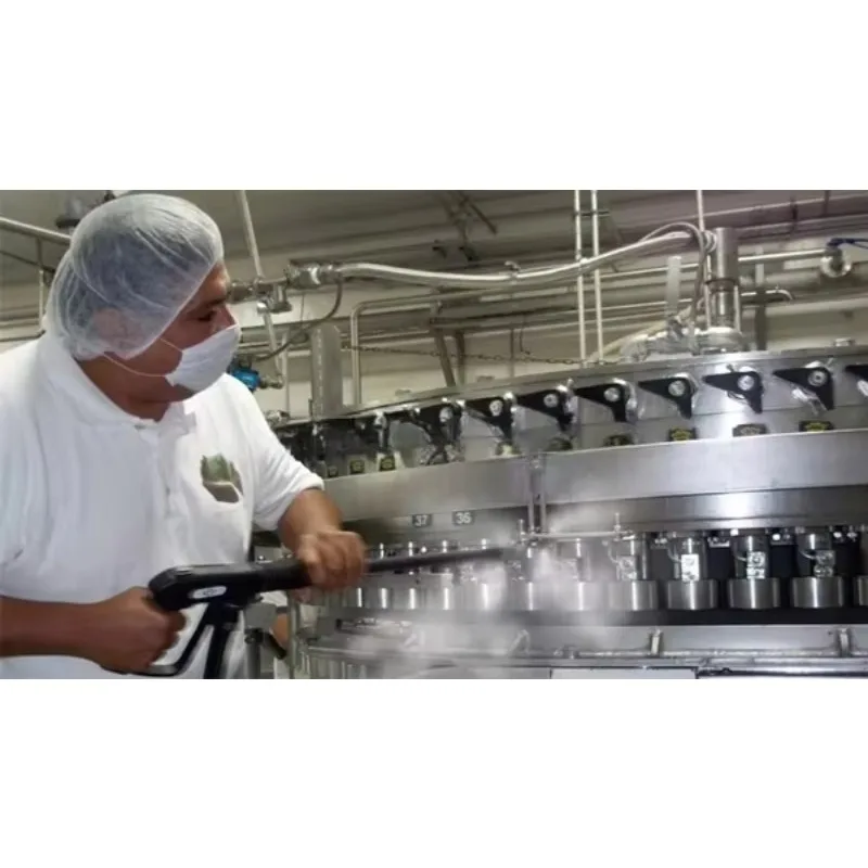 آلة التنظيف بالبخار الصناعية ذات الضغط العالي لتنظيف بقع الزيت الثقيل في المعدات الصناعية #6