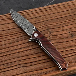 Damascus Steel Folding Knife Forged VG10 Steel Outdoor Folding Knife Camping Carry Portable Fruit Knife EDC Knife