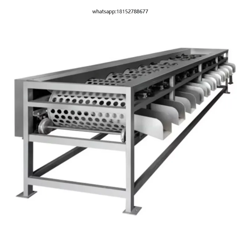 Grader Potato Onion Tomato Orange Sorting Machine for Vegetable and Fruit Processing Plant