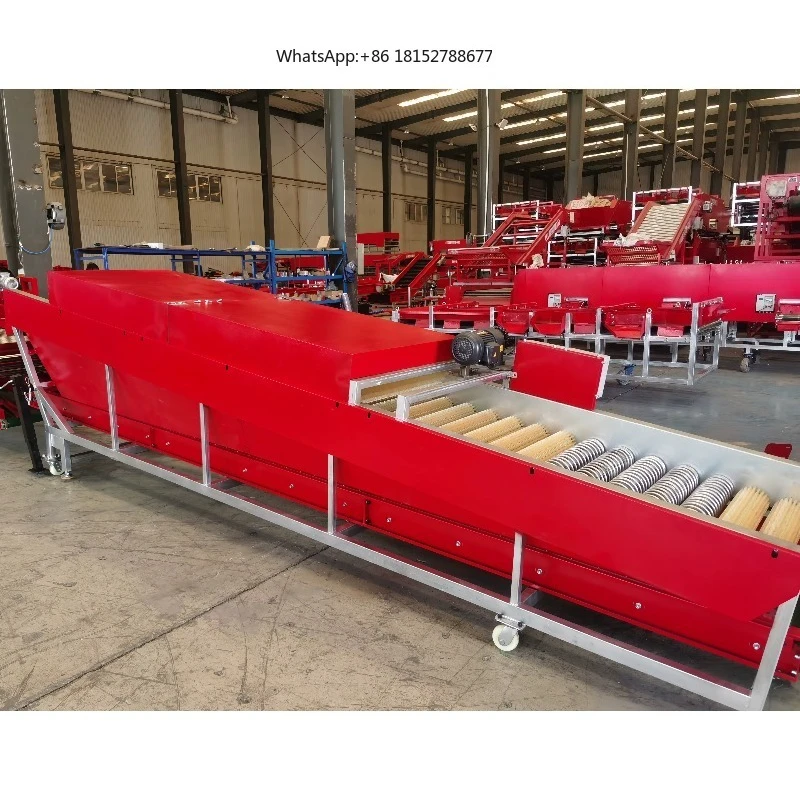 Commercial New Condition Potato Dry Cleaning Machine Fruit Vegetables Continuous Brushes Vegetable Processing Plant Farm Inclu