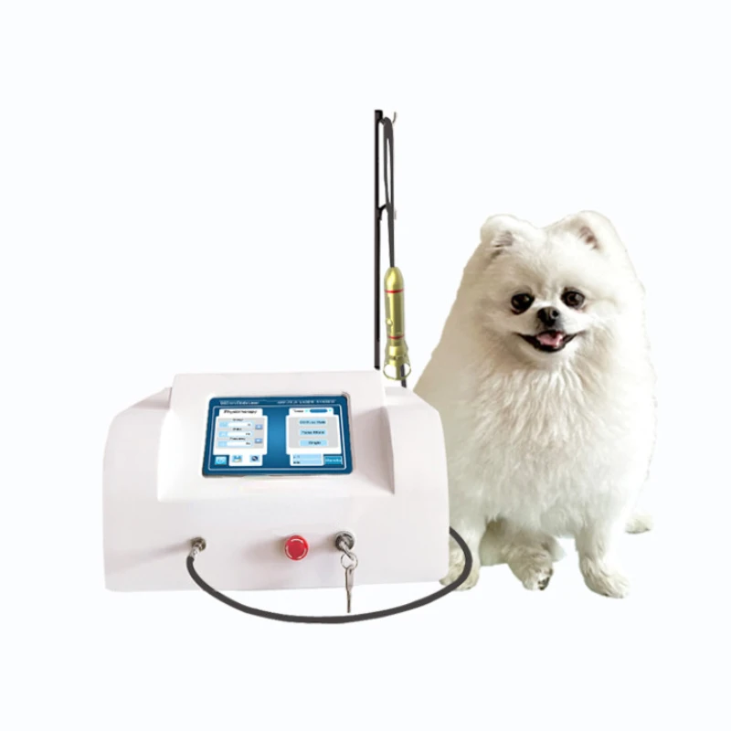 2022 Therapy laser instrument Pets laser therapy instrument