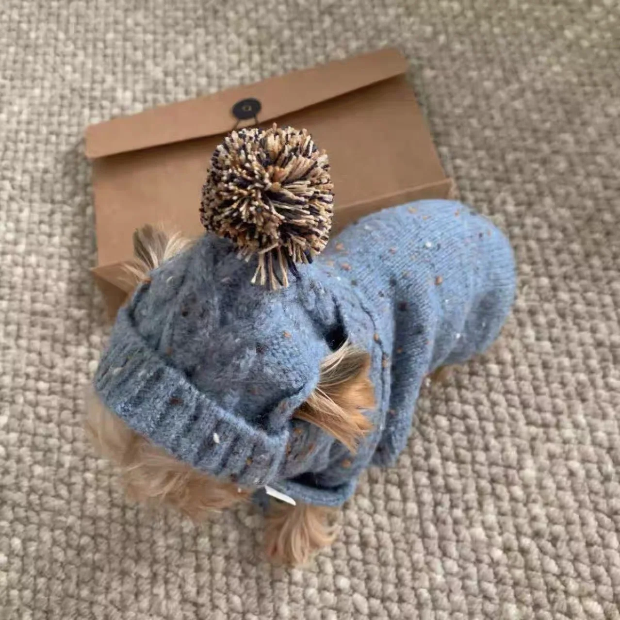 Warme Haustier-Pullover-Weste mit niedlicher Mütze, Schal-Set, Fleece-Outfit für kaltes Wetter für kleine Hunde, Welpen, Yorkshire, Katze, Haustier, gestrickt, warme Kleidung