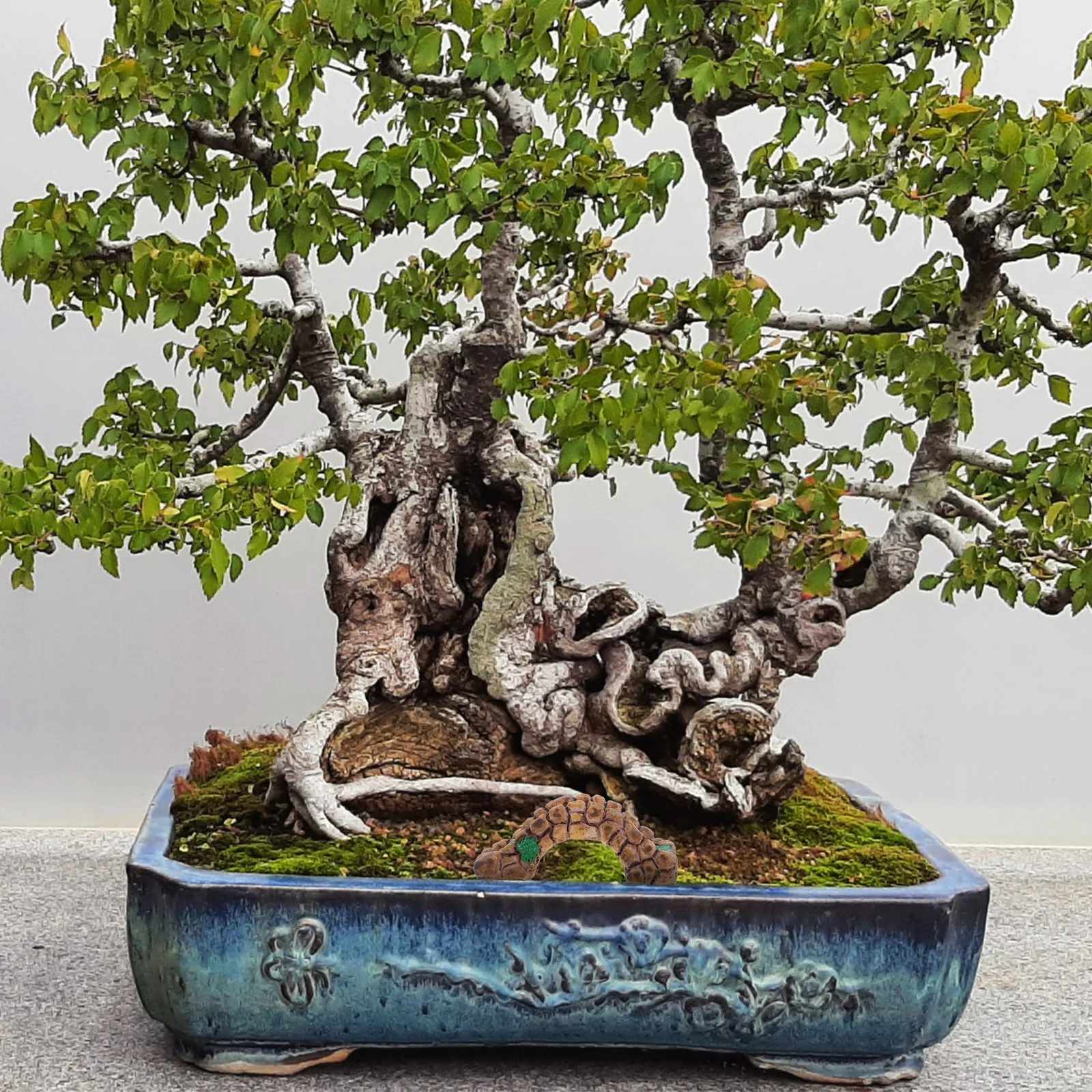 

6pcs Vintage Resin Ornaments Mini Landscape Bridge For Garden Fish Tank Sand Table Decor Resin Bridge Statue Micro Landscape